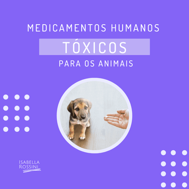 Medicamentos humanos tóxicos para os animais