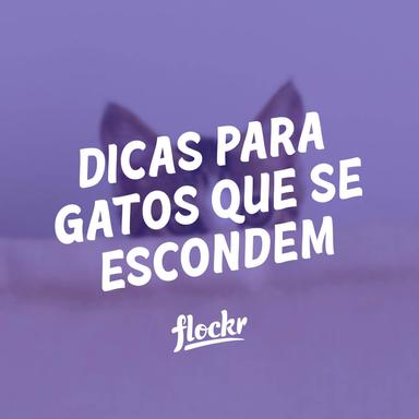 Dicas para Gatos que se Escondem: Ajudando Seu Gato a se Sentir Seguro e Confortável