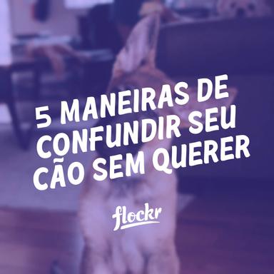 5 Maneiras de Confundir seu Cão sem Querer: Dicas para uma Comunicação Clara