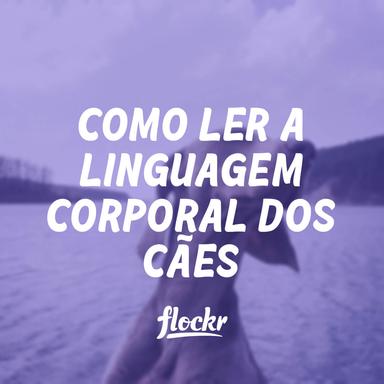 Como ler a linguagem corporal dos cães