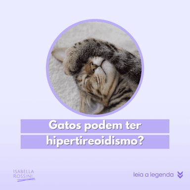 Os gatos podem ter hipertireoidismo?
