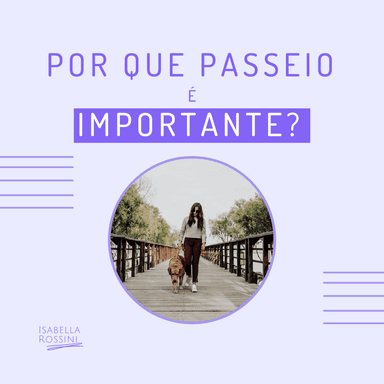 Por que o passeio é importante?