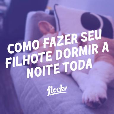 Como Fazer seu Filhote Dormir a Noite Toda: Guia Prático para Noites Tranquilas
