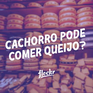 Cachorros podem comer queijo?