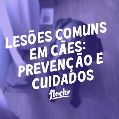 Lesões Comuns em Cães: Prevenção e Cuidados