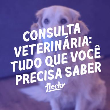 Consulta Veterinária: Tudo que Você Precisa Saber