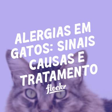 Alergias em Gatos: Sinais, Causas e Tratamento