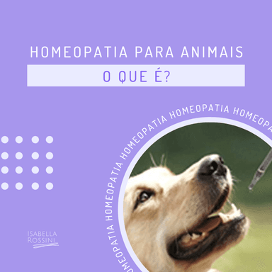 Homeopatia para animais, o que é?