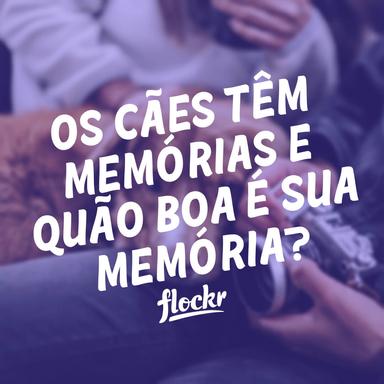 Os cães têm memórias e quão boa é a memória de um cachorro?
