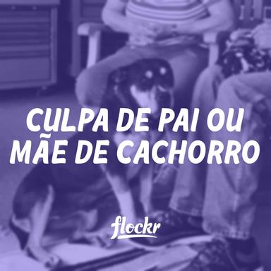 Culpa de Pai ou Mãe de Cachorro: Por Que Acontece e Como Lidar