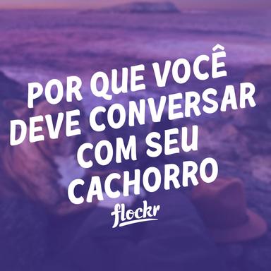 Por Que Você Deve Conversar com Seu Cachorro
