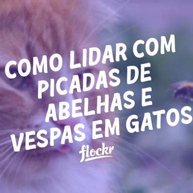 Como Lidar com Picadas de Abelhas e Vespas em Gatos