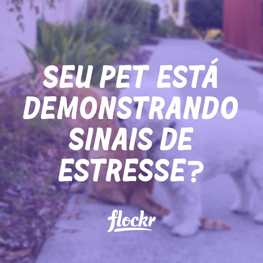 Seu Pet está demonstrando sinais de estresse?
