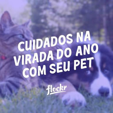 Cuidados na Virada do Ano: Dicas para um Réveillon Tranquilo com seu pet