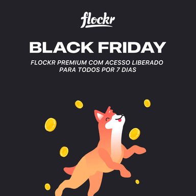 Black Friday Flockr