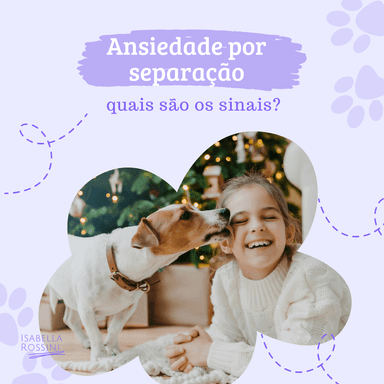 Quais são os sinais de ansiedade por separação em cães?