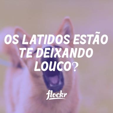 Gerencie Latidos de Cães com o Protocolo "Obrigado"