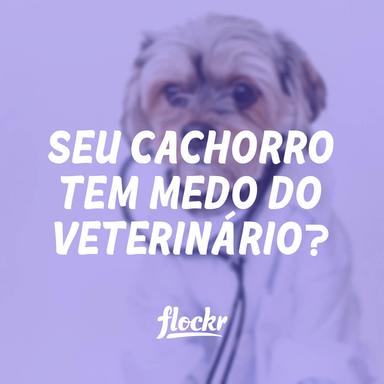 Seu Cachorro Tem Medo do Veterinário? Experimente Estas 7 Dicas