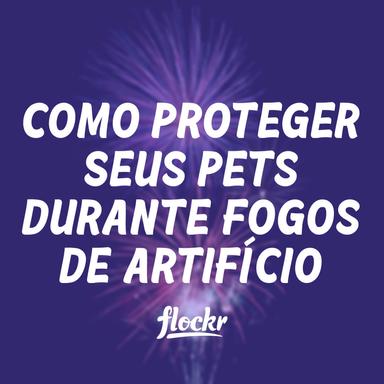 Como Proteger Seus Pets Durante Fogos de Artifício