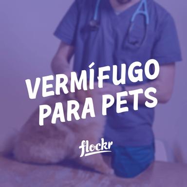 Vermífugo para Pets: Um Guia Completo para a Saúde Intestinal do seu Amigo Peludo
