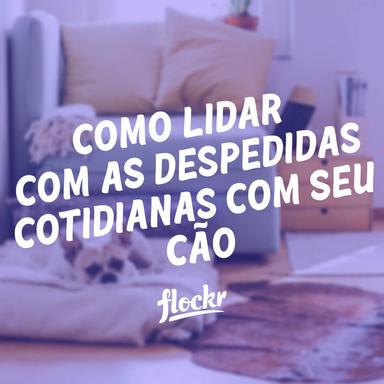 Despedidas Cotidianas com Seu Cão: Valorizando os Momentos de Conexão