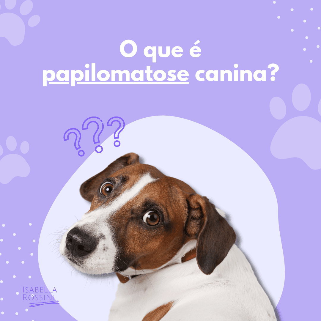 O que é papilomatose canina?