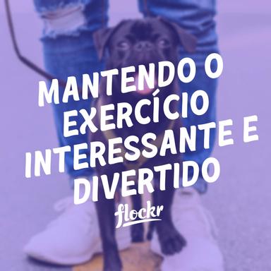 Passeios com Seu Cão: Mantendo o Exercício Interessante e Divertido