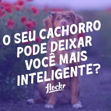 O Efeito do Contato com Cães na Atividade Cerebral