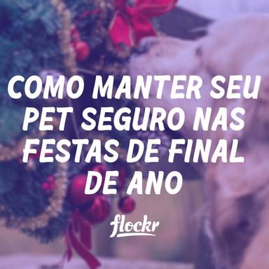 Como manter seu pet seguro nas festas de final de ano