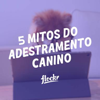 5 Mitos do Adestramento Canino: Desvendando a Verdade por Trás dos Clichês