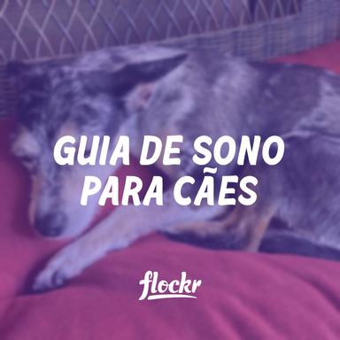 Guia de Sono para Cães