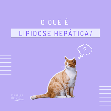 O que é Lipidose Hepática?