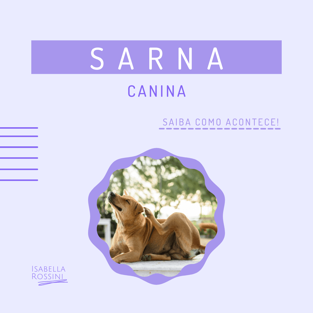 Sarna Canina: Entenda como acontece