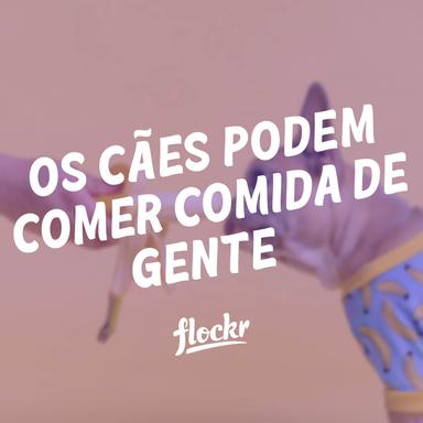 Os Cães Podem Comer Comida de Gente?
