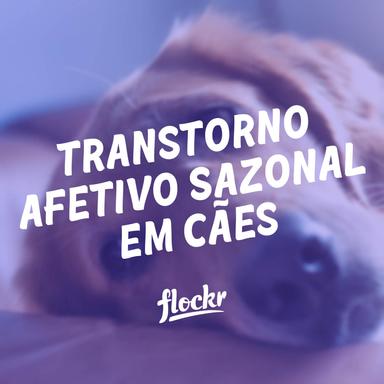 Transtorno Afetivo Sazonal em Cães: Entendendo e Apoiando o Bem-Estar Canino
