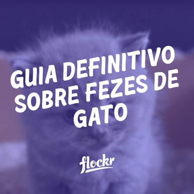 Guia Definitivo sobre Fezes de Gato