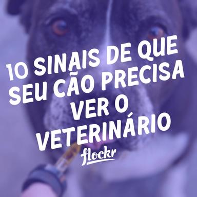 10 Sinais de Que Seu Cão Precisa Ver o Veterinário