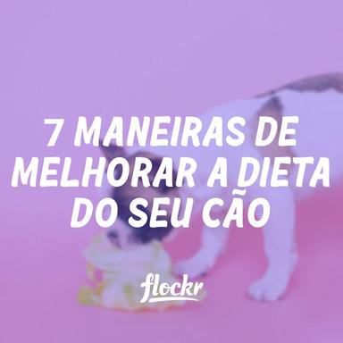 7 Maneiras de Melhorar a Dieta do Seu Cão