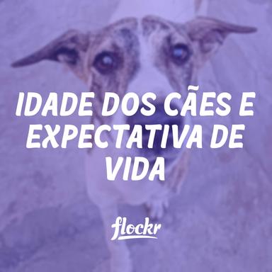 Idade dos Cães e Expectativa de Vida