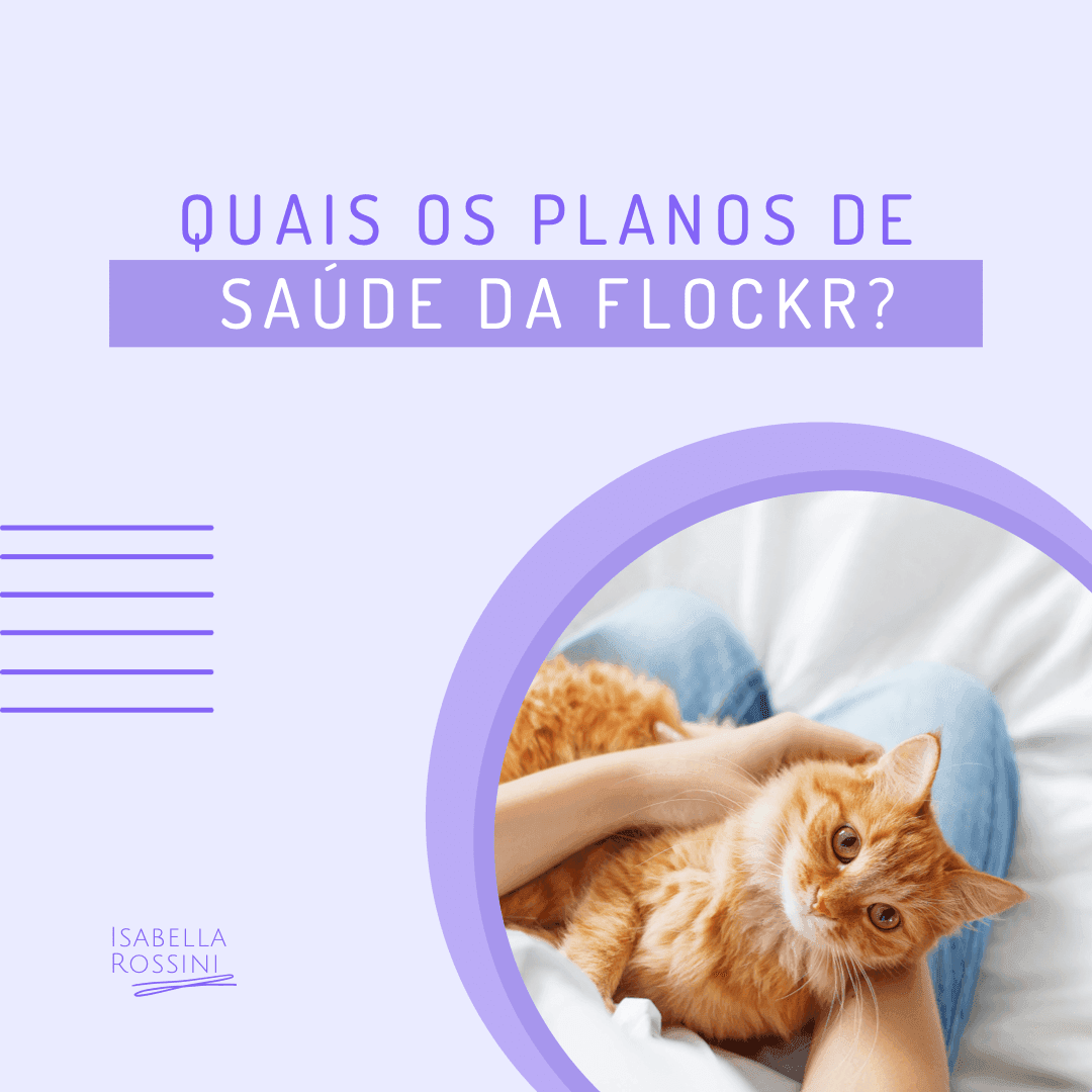 Quais os planos de saúde da Flockr?