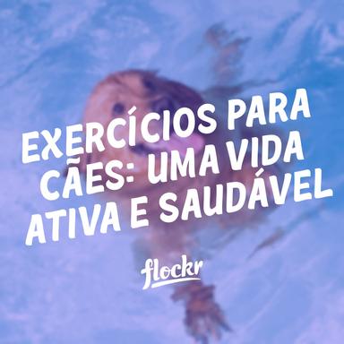 Exercícios para Cães: Dicas para Promover uma Vida Ativa e Saudável