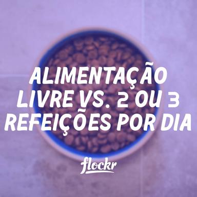Alimentação Livre vs. 2 ou 3 Refeições por Dia: Qual é a Melhor para seu Cão?
