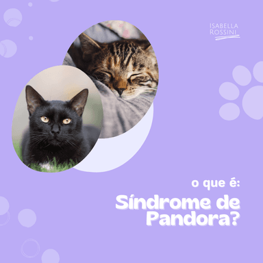 O que é Síndrome de Pandora?