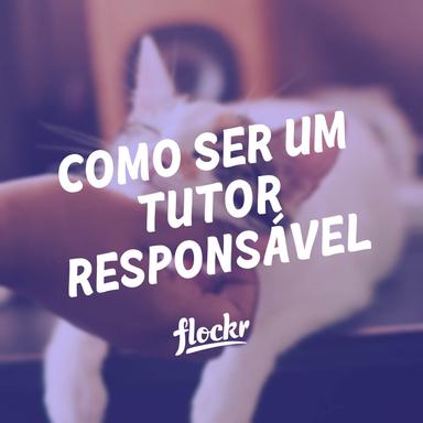 Como ser um tutor responsável de Cães e Gatos