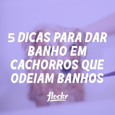 5 Dicas para Dar Banho em Cachorros que Odeiam Banhos
