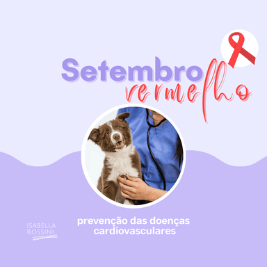 Setembro Vermelho: Mês prevenção das doenças cardiovasculares