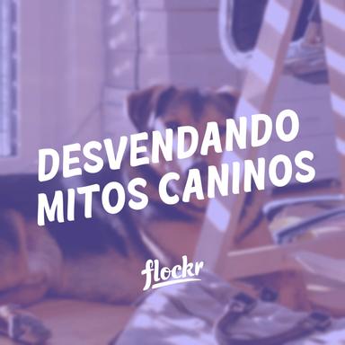 Desvendando Mitos Caninos: A Verdade por Trás das Crenças Populares