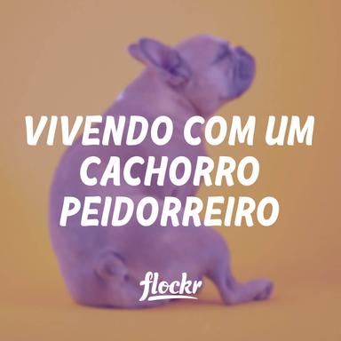 Vivendo com um cachorro peidorreiro