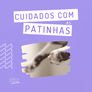 Quais são os cuidados essenciais com as patinhas? 🐾