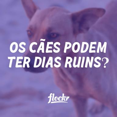 Os Cães Podem Ter Dias Ruins?